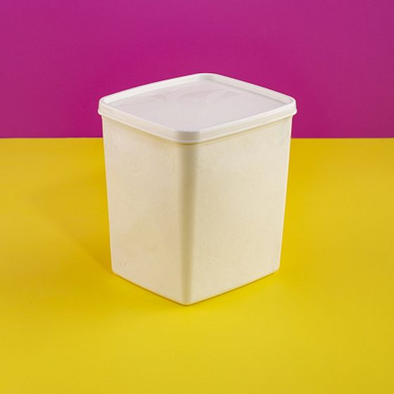 Контейнер для заморозки ALASKA 2л белый