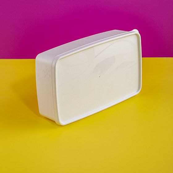 Контейнер для заморозки ALASKA 2.1л белый