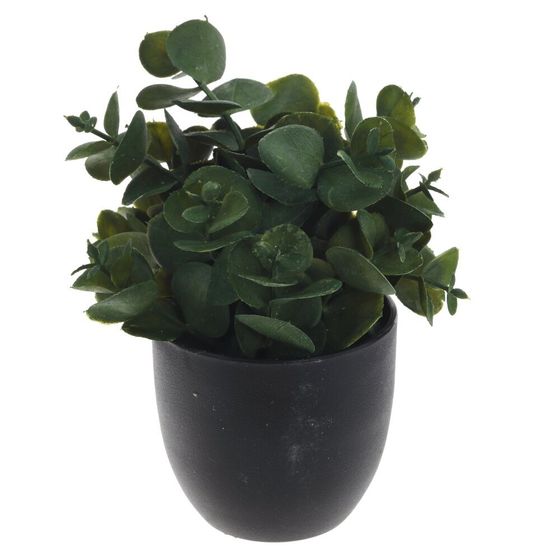 Цветочная композиция, L8 W8 H14 см, 3в.