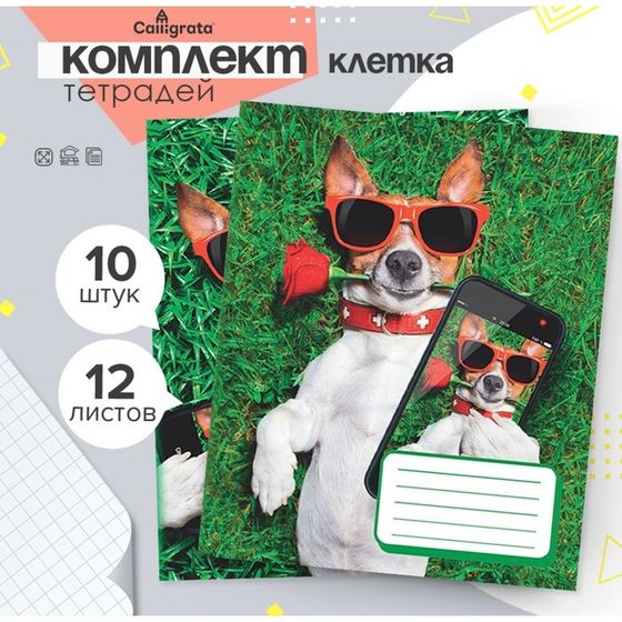 Комплект тетрадей из 10 штук, 12 листов в клетку Calligrata &quot;СелфиDOG&quot;, обложка мелованная бумага, ВД-лак, блок офсет, 5 видов по 2 штуки