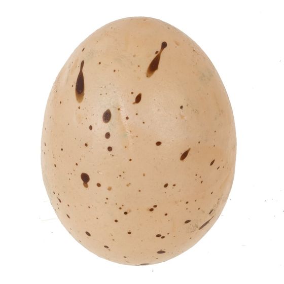 Набор из 14-ти изделий декоративных "Яйцо" (4*5, 3*4), L16 W7 H23 см