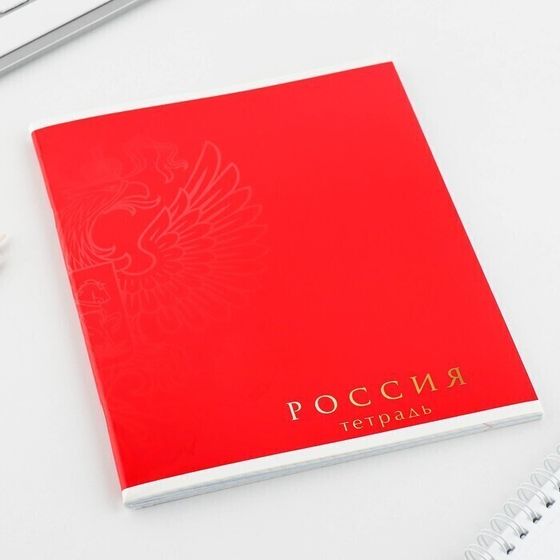 !09 Набор 4 штуки - Тетрадь А5, 48 л на скрепке МИКС «Шрифтовые яркие», обложка мелованный картон 230 гр., внутренний блок №1, в клетку 80 гр., белизна 96%