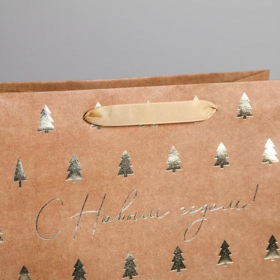 !09 Пакет крафтовый(набор 3 штуки) горизонтальный «Ёлочки», ML 27 x 23 x 11.5 см.