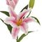 Цветок искусственный "Лилия" (Real Touch), L24 W22 H84 см