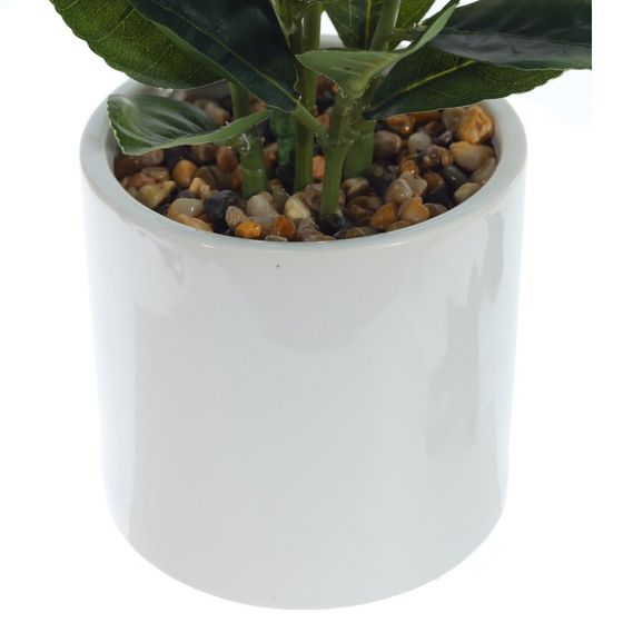 Цветочная композиция &quot;Голубика&quot;, L20 W20 H40 см