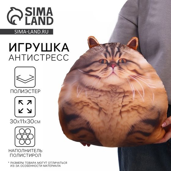 Игрушка антистресс «Кот»