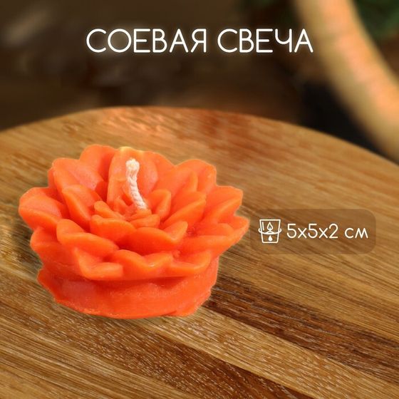 Свеча &quot;Цветок&quot; 5х5х2 см, соевый воск, микс