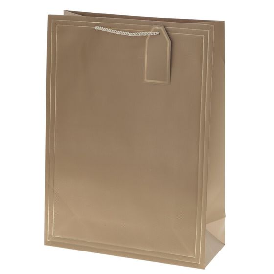 Пакет подарочный (бумага 210г/м2, блок 12шт), L31 W12 H42 см, 10в.