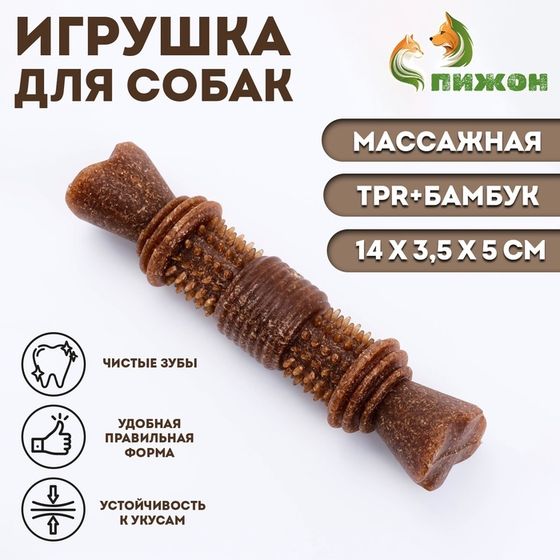 Жевательная игрушка для собак ПИЖОН &quot;Шипастая кость&quot;, массажная, 14 х 3,5 х 5