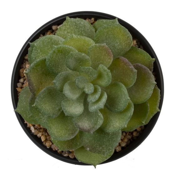 Цветочная композиция "Суккулент", L10 W10 H12 см