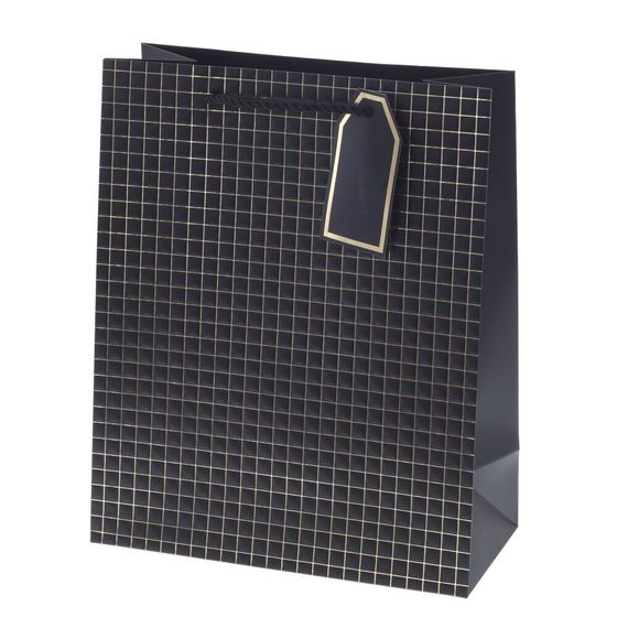 Пакет подарочный (бумага 210г/м2, блок 12шт), L26 W12 H32 см, 14в.