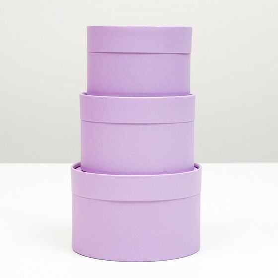 Набор шляпных коробок 3 в 1,«Сиреневый»,16×10.14×9.13×8.5 см