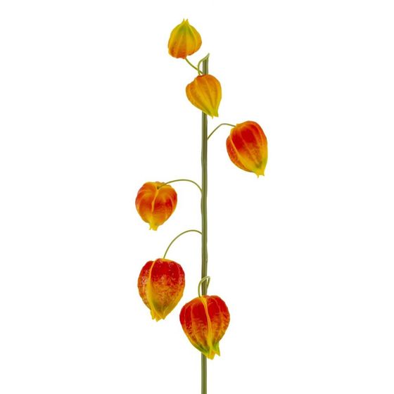 Цветок искусственный "Физалис" (Real Touch), L15 W12 H69 см