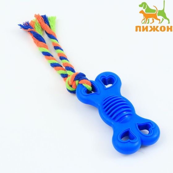 Игрушка жевательная с канатом &quot;Косточка на привязи&quot;, 9,5 см, синяя