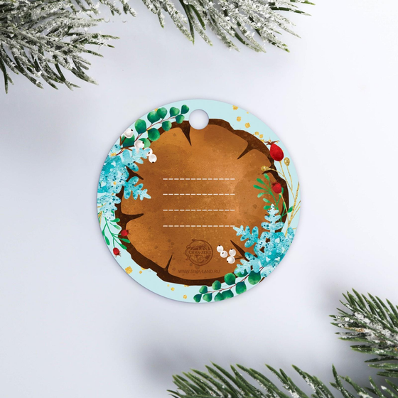 Шильдик на подарок «Зима Время волшебства», 5,6 × 5,6 см (2 штуки)