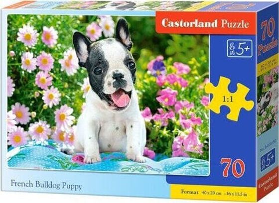 Castorland Puzzle 70 Szczeniak buldoga francuskiego CASTOR