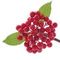 Ветка искусственная &quot;Ягода&quot;, L12 W10 H27 см, 3в.