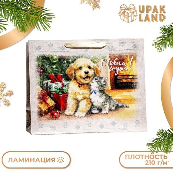 Пакет ламинированный горизонтальный &quot;Друзья&quot;,49 х 40 х 19 см.