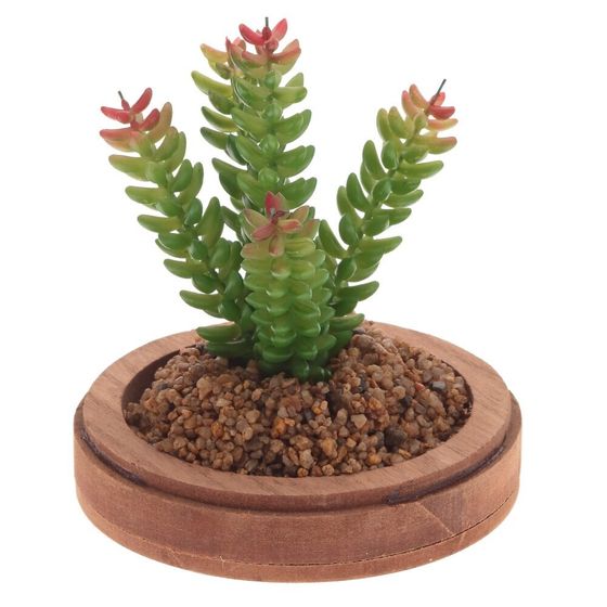 Цветочная композиция &quot;Суккулент&quot;, L19 W19 H24 см