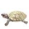 Фигурка декоративная &quot;Черепаха&quot;, L13,5 W11,5 H5 см