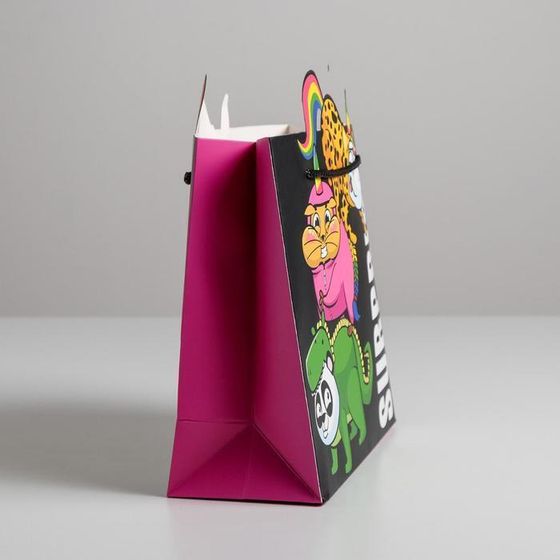 !09 Пакет подарочный Surpprise, набор 2 штуки, 25 × 26 × 10 см.