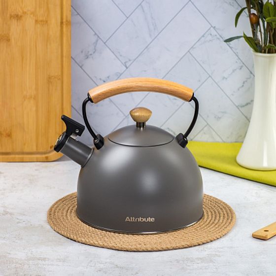 Чайник SCANDINAVIA 2.5л