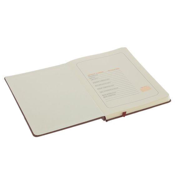 Набор из блокнота и ручки, Д19,5 Ш24,5 В4 см