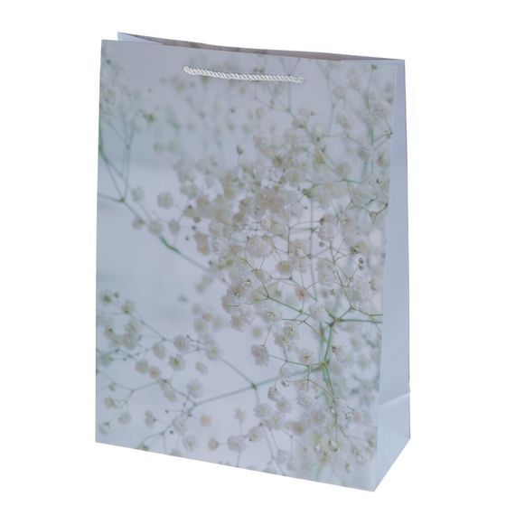 Пакет подарочный (бумага 210г/м2, блок 12шт), L30 W12 H41,5 см, 4в.