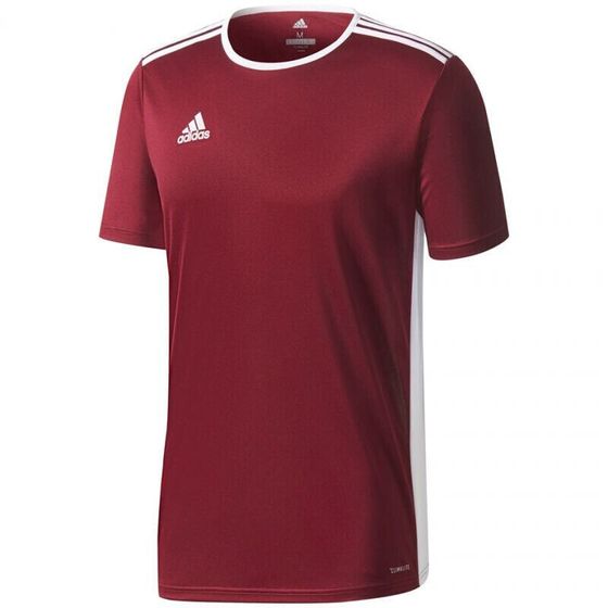 Футболка мужская спортивная красная с логотипом Adidas ENTRADA 18 Jr CD8430 T-SHIRT