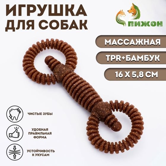 Жевательная игрушка для собак ПИЖОН &quot;Мотор&quot;, массажная, 16 х 5,8 см