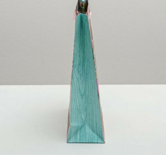 НАБОР 5 ШТУК - Пакет ламинированный вертикальный «Поздравляю!», ML 23 × 27 × 11,5 см