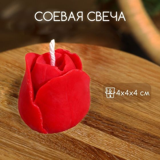 Свеча &quot;Тюльпан&quot; 4х4х4 см, соевый воск