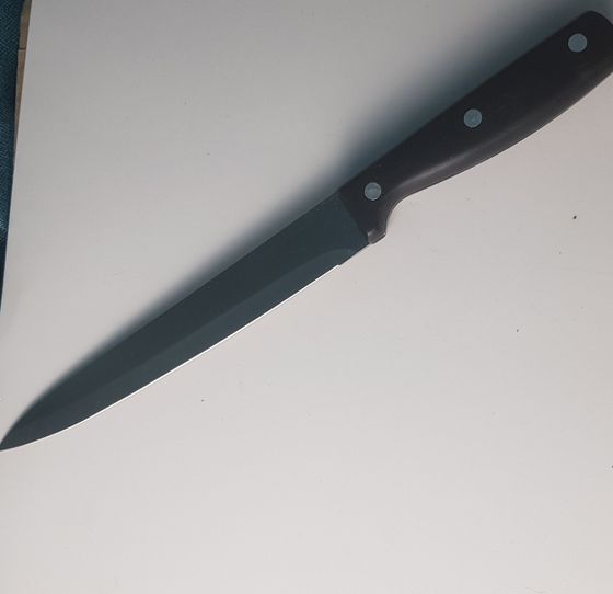 !09 Нож для нарезки 20 см.