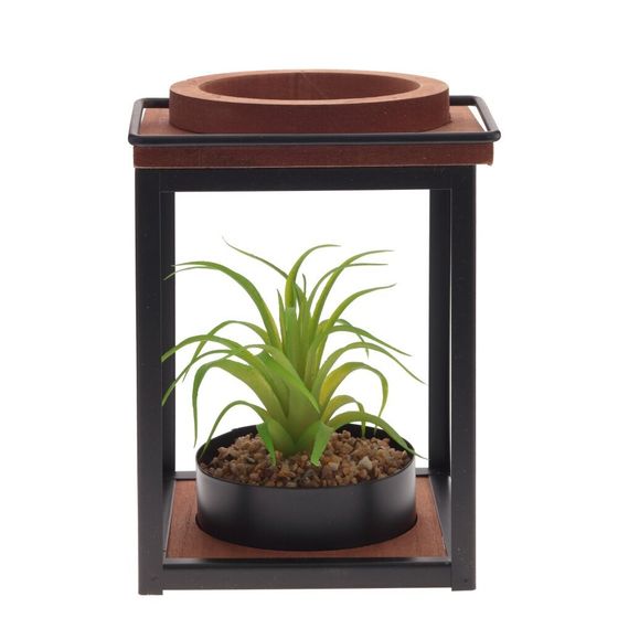 Цветочная композиция &quot;Суккулент&quot;, L15 W15 H21 см