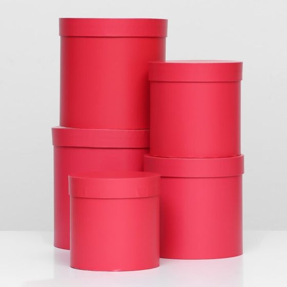 Набор шляпных коробок 5 в1 Viva Magenta Panton, 20 × 20 × 20‒14×14×14 см