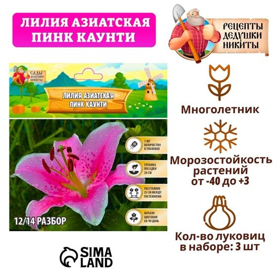 Лилия Азиатская &quot;Pink County&quot;, р-р 12/14, 3 шт, Весна 2025