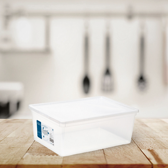 Коробка для хранения 10л