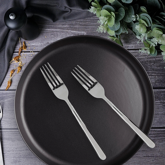 Вилка столовая ROMA 2шт