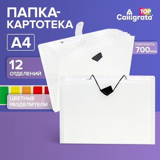 Папка-картотека А4, Calligrata TOP DeLuxe, 12 отделений, 700 мкм, на резинке, белая с цветными разделителями