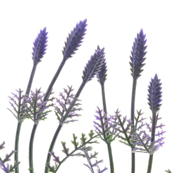 Цветок искусственный &quot;Амброзия&quot;, L10 W10 H40 см, 5в.