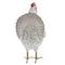 Фигурка декоративная &quot;Курица&quot;, L15,5 W11 H22 см