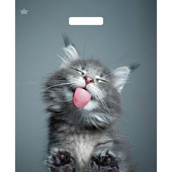 !09 Комплект из 15 штук:Пакет «Кот», полиэтиленовый, с вырубной ручкой, 38×45 см, 60 мкм.