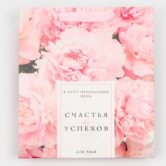 !09 Пакет ламинированный (набор 3 штуки) «Счастья и успехов» радужная голография, MS 18 х 23 х 10 см