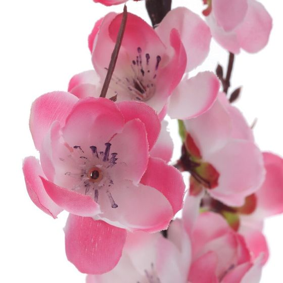 Цветочная композиция "Сакура", L12 W8 H28 см