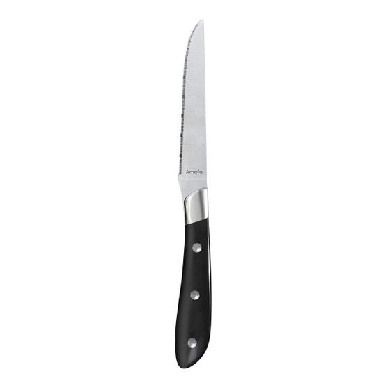 Набор ножей для мяса Amefa Achille Metal 23 x 2,4 x 1,5 см 6 шт.