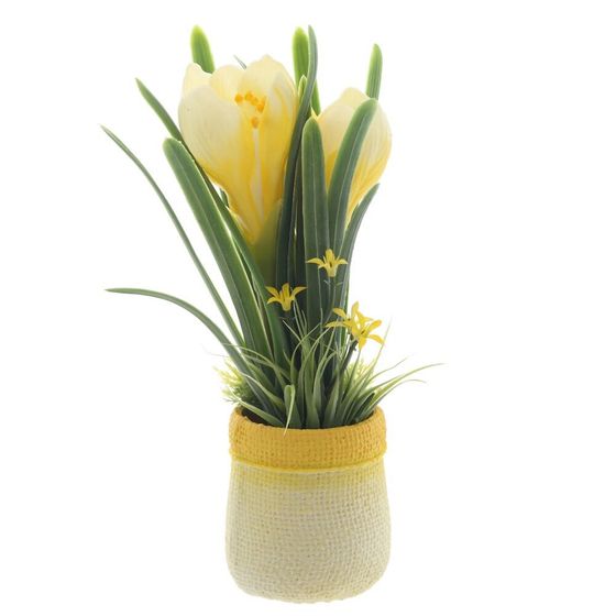 Цветочная композиция &quot;Крокусы&quot;, L12 W10 H22 см