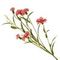 Цветок искусственный "Гвоздика", L14 W14 H72 см