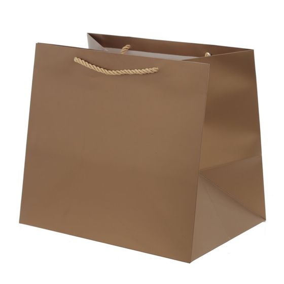 Пакет подарочный (бумага 230г/м2, блок 12шт), L28 W20 H25 см, 5в.