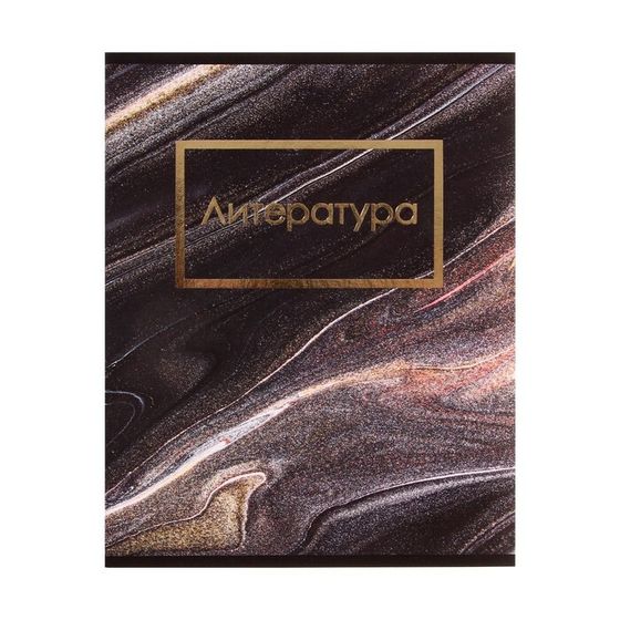 Тетрадь предметная 48 листов в клетку Calligrata, «Мрамор тёмный. Литература», со справочным материалом, обложка мелованный картон, покрытие Soft-tou...