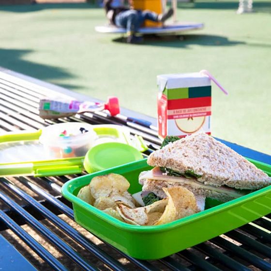 Контейнер пищевой прямоугольный TO GO 0.7л зеленый